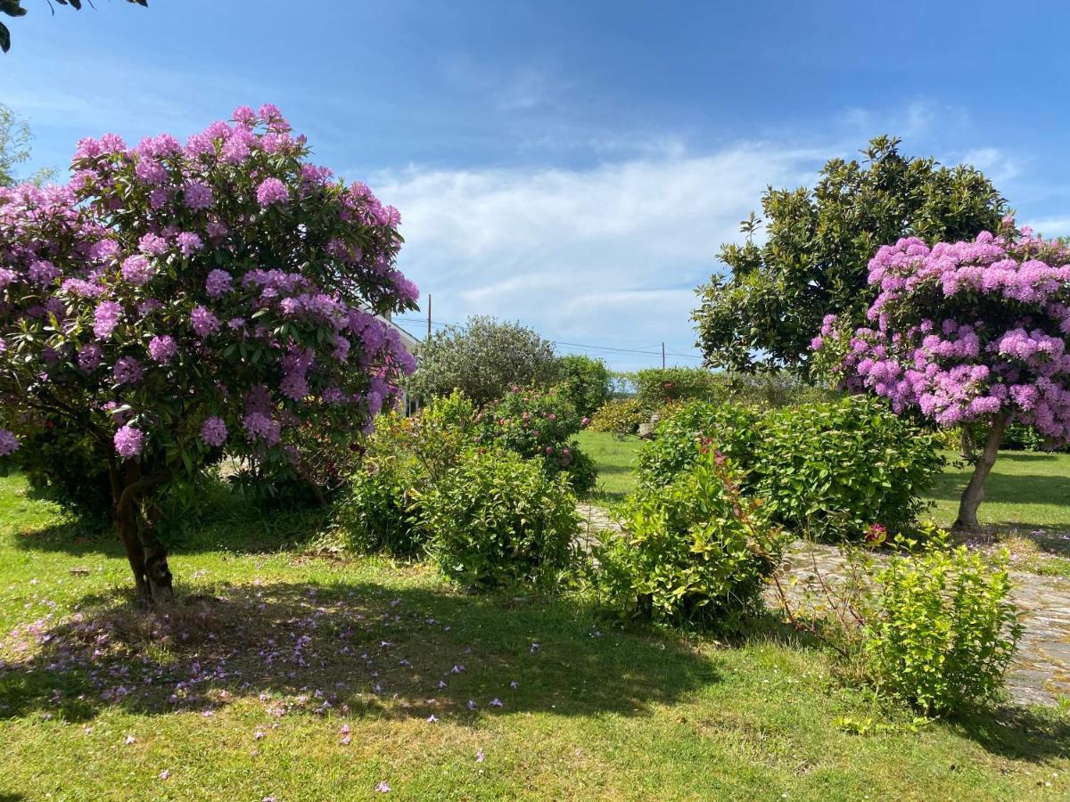 Casa Quintana Villa Salamir Eksteriør bilde
