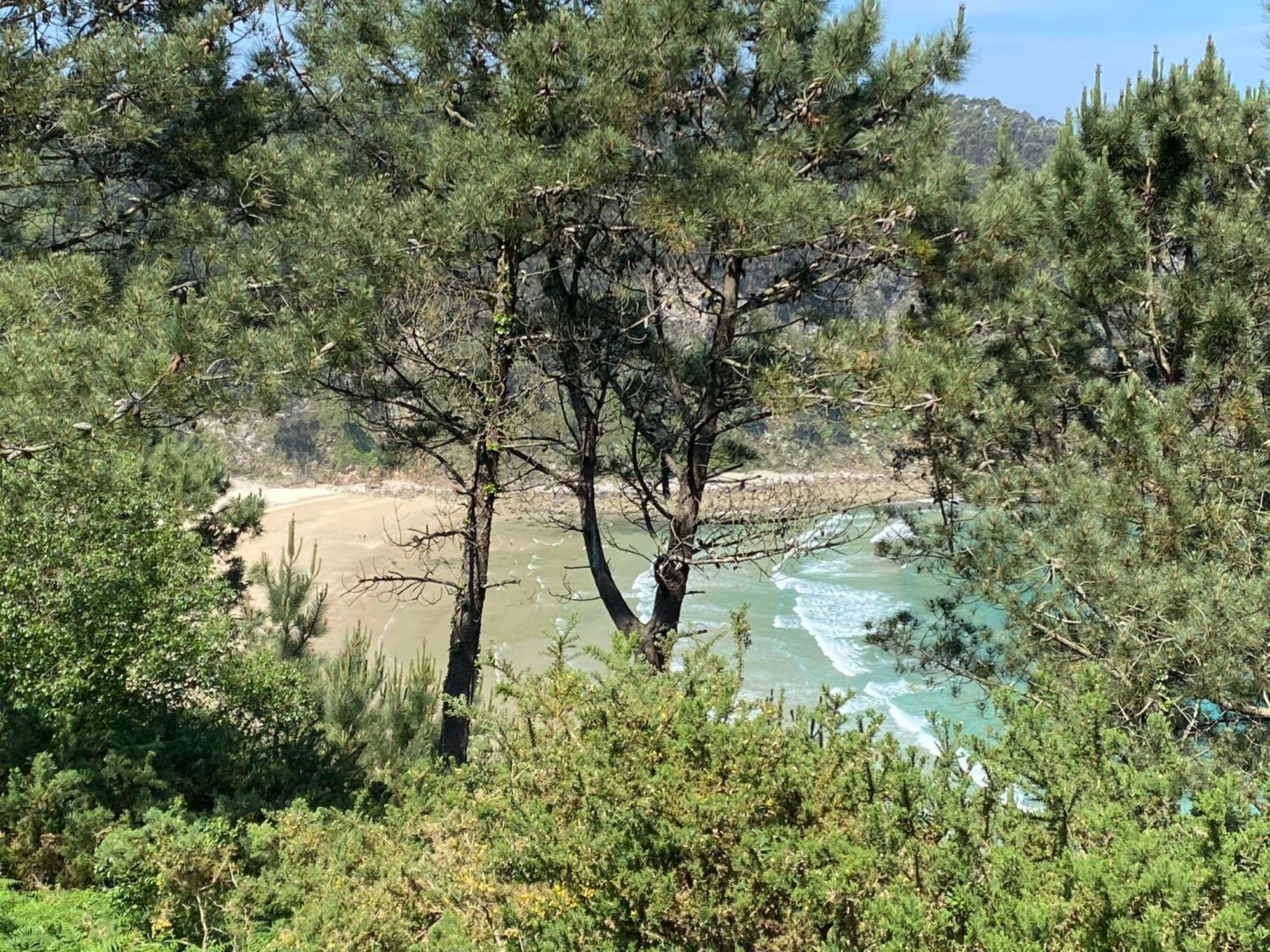Casa Quintana Villa Salamir Eksteriør bilde
